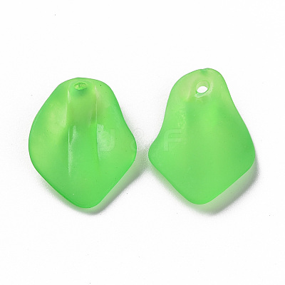 Transparent Frosted Acrylic Pendants MACR-S371-03A-734-1