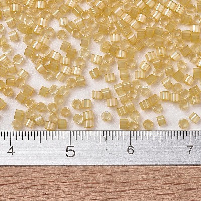 MIYUKI Delica Beads X-SEED-J020-DB1801-1