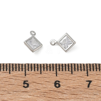 Brass Pave Clear Cubic Zirconia Charms CU-CBAD360-04P-02-1
