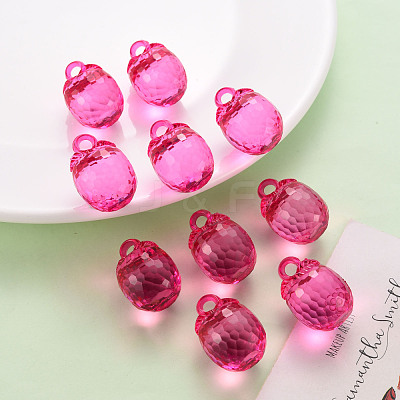 Autumn Theme Transparent Acrylic Pendants TACR-T024-04B-906-1