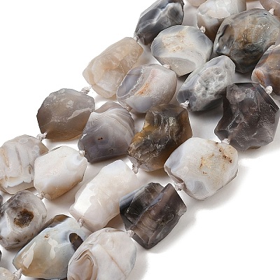 Raw Rough Natural Botswana Agate Beads Strands G-S396-04A-1