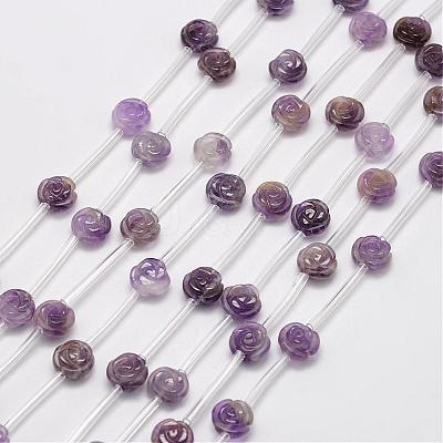 Natural Amethyst Beads G-O156-C-14-1