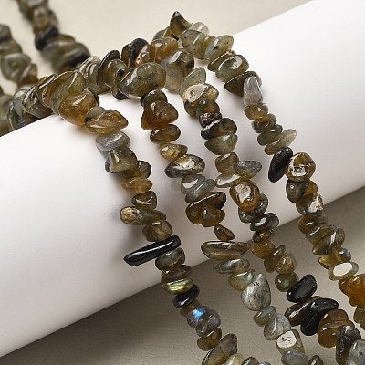 Natural Labradorite Beads Strands G-P332-23-1