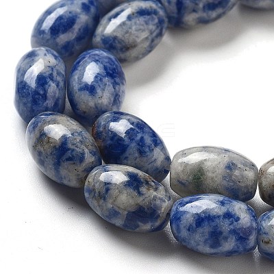 Natural Blue Spot Jasper Beads Strands G-B106-B29-01-1