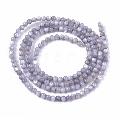 Natural Freshwater Shell Beads Strands BSHE-T009-01-1