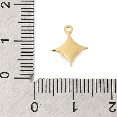 304 Stainless Steel Charms STAS-U027-10G-03-1