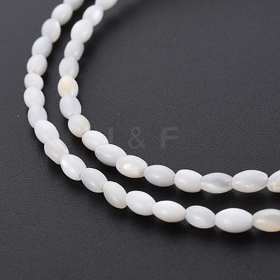 Natural Freshwater Shell Beads Strands X-SHEL-N027-08A-1