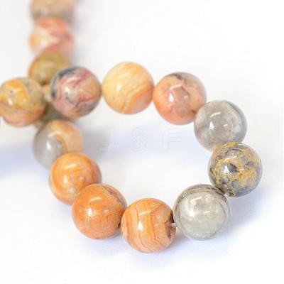 Natural Crazy Lace Agate Round Bead Strands G-E334-8mm-20-1