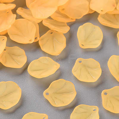 Transparent Frosted Acrylic Pendants MACR-S371-02A-719-1