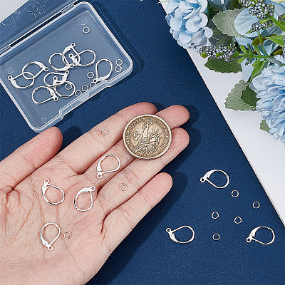 20Pcs 2 Style Brass Leverback Earring Findings with Loop DIY-BBC0001-02S-1