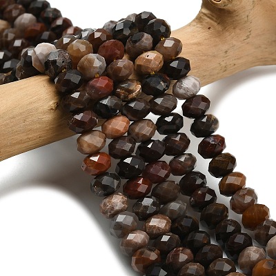 Natural Petrified Wood Beads Strands G-Z111-A50-1