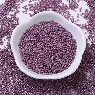 MIYUKI Delica Beads X-SEED-J020-DB0265-1