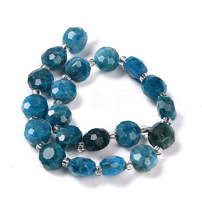 Natural Apatite Beads Strands G-B153-B05-1