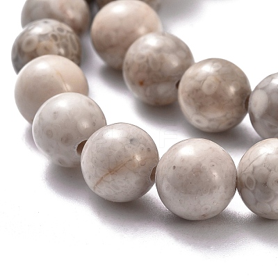 Natural Maifanite/Maifan Stone Beads Strands G-I187-8mm-01-1