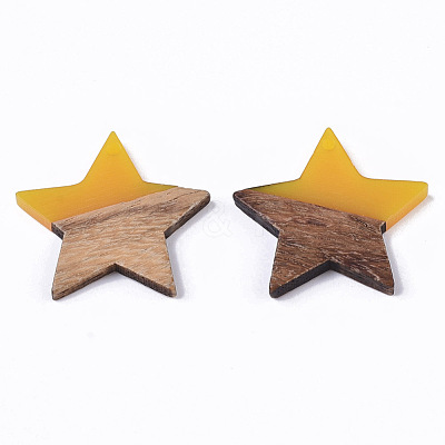 Transparent Resin & Wood Pendants RESI-T023-23-B02-1
