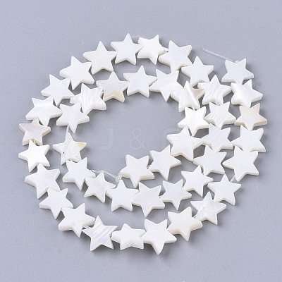 Freshwater Shell Beads Strands X-SHEL-T014-009G-1