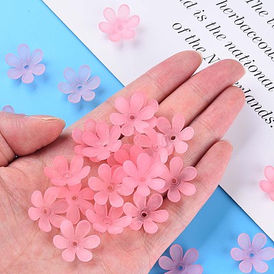 Transparent Acrylic Beads LS-MACR-S373-107-D05-1
