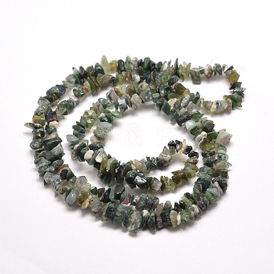 Natural Moss Agate Chip Bead Strands X-G-M205-45-1