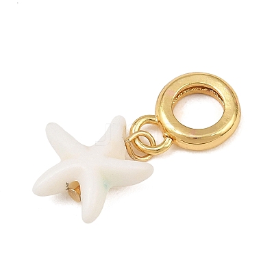 Brass Resin European Dangle Charms KK-CBA3642-01G-05-1