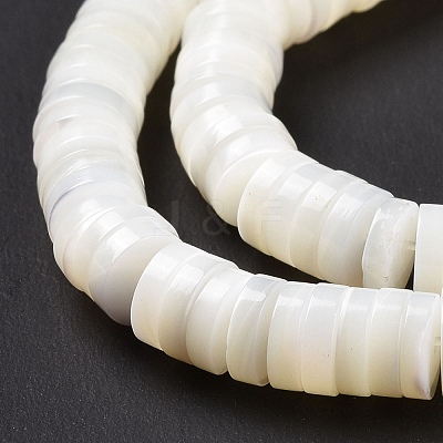 Natural Trochid Shell/Trochus Shell Beads Strands SSHEL-L016-13E-1
