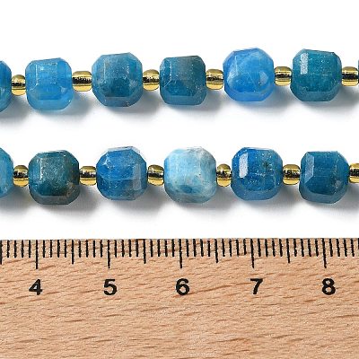 Natural Apatite Beads Strands GG-CBABD99-06-1