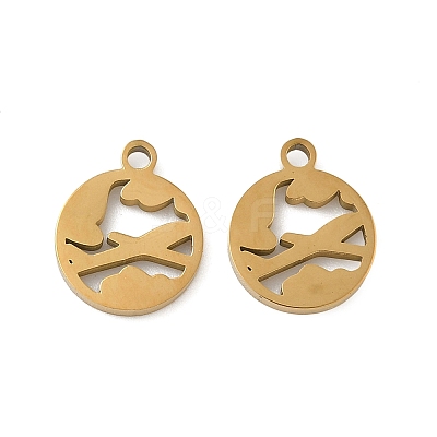 304 Stainless Steel Charms STAS-D208-10G-1