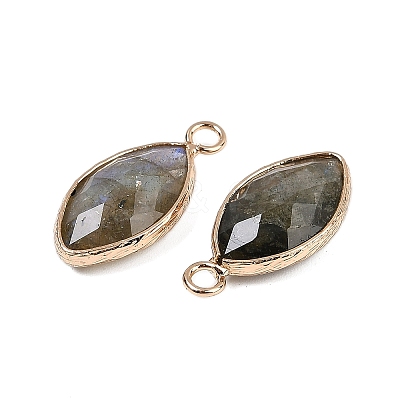 Natural Labradorite Faceted Pendants G-G193-01G-10-1