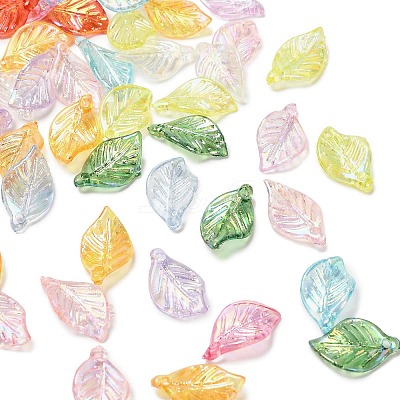 Transparent Acrylic Pendants MACR-F084-02-1