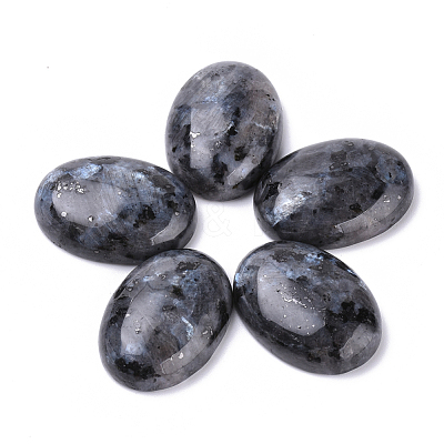 Natural Labradorite Cabochons X-G-T062-19-1