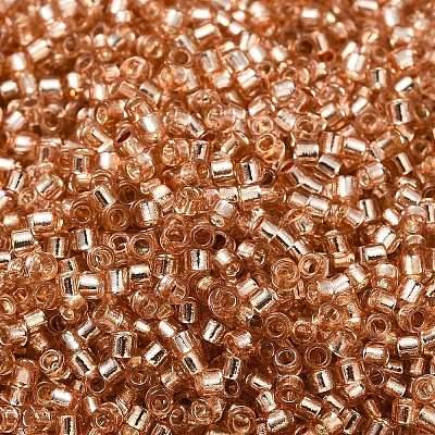 Glass Seed Beads X-SEED-S042-04B-17-1