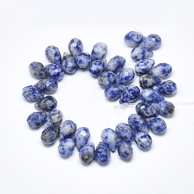 Natural Blue Spot Jasper Beads Strands G-S357-C02-06-1