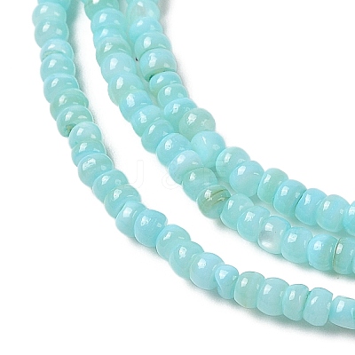 Natural Freshwater Shell Beads Strands SHEL-P017-01B-03-1