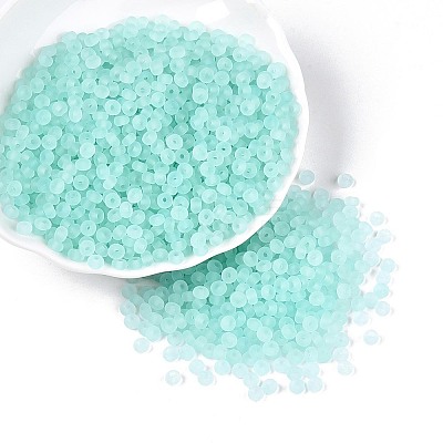 Transparent Frosted Colours Glass Seed Beads SEED-T007-12G-1