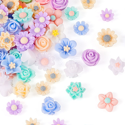 3 Bags Resin Cabochons RESI-TA0003-13B-1