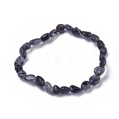 Natural Iolite/Cordierite/Dichroite Bead Stretch Bracelets BJEW-K213-41-1