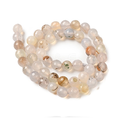 Dyed & Heated Natural Agate Beads Strands G-P539-D01-01-1