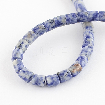 Natural Blue Spot Jasper Bead Strands G-R187-06-1