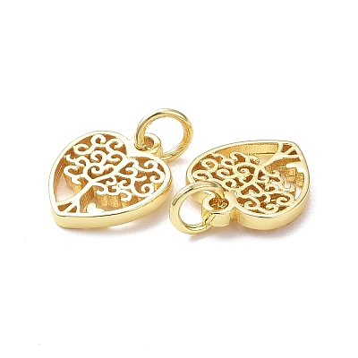 Rack Plating Brass Charms KK-F849-03G-1