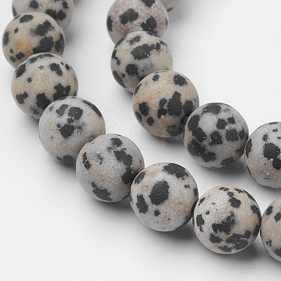 Natural Dalmatian Jasper Bead Strands G-G735-68F-8mm-1