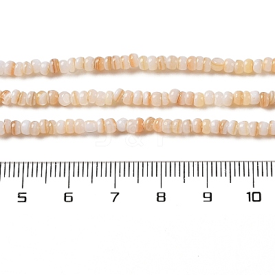 Natural Freshwater Shell Beads Strands SHEL-P017-01B-10-1