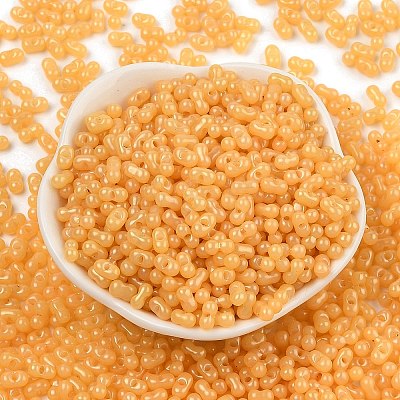 Baking Paint Glass Seed Beads SEED-L011-09A-04-1