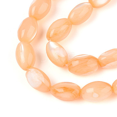 Natural Trochus Shell Beads Strands SHEL-K006-19-01G-1