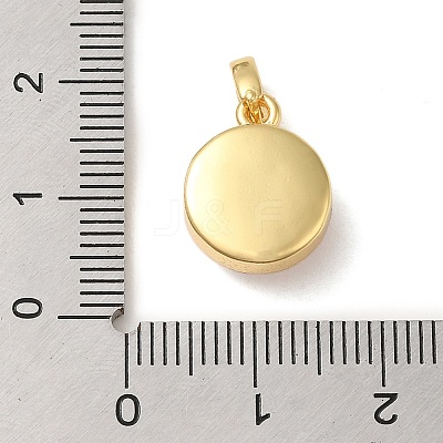 Rack Plating Brass with Synthetic Opal Pendants KK-S370-06G-02-1