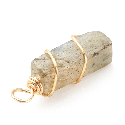 Natural Labradorite Pendants PALLOY-JF01581-01-1
