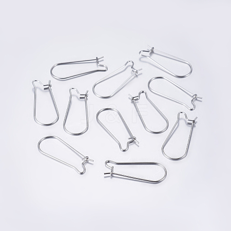 Tarnish Resistant 304 Stainless Steel Hoop Earrings LS-STAS-L198-15A-P-1
