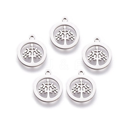 Non-Tarnish 304 Stainless Steel Charms X-STAS-I098-03-1