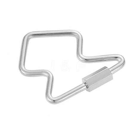 Stainless Steel Keychain Clasps PW-WGDACCF-03-1