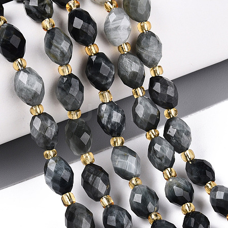 Natural Eagle Eye Stone Beads Strands G-N342-35-8x6-03-1