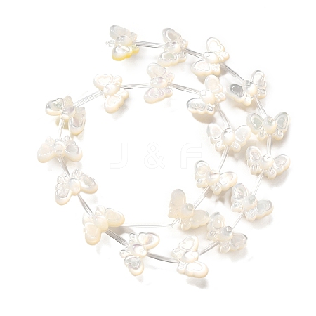 Natural White Shell Beads BSHE-Z008-01-1