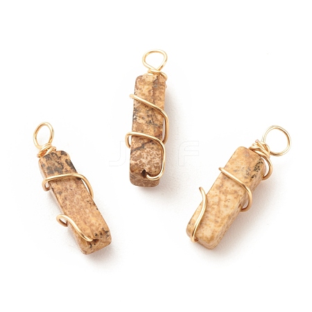 Natural Picture Japser Pendants PALLOY-JF01581-04-1